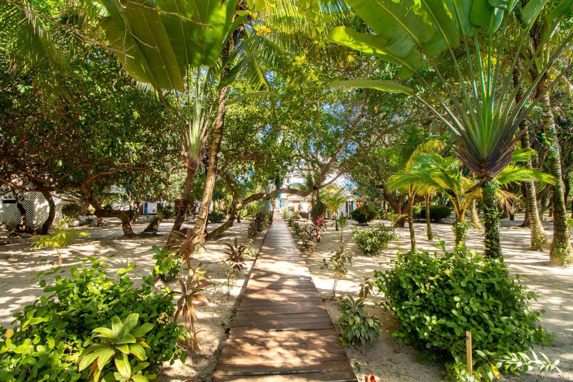 Beachside Villas Gold Standard Certified Placencia Room photo