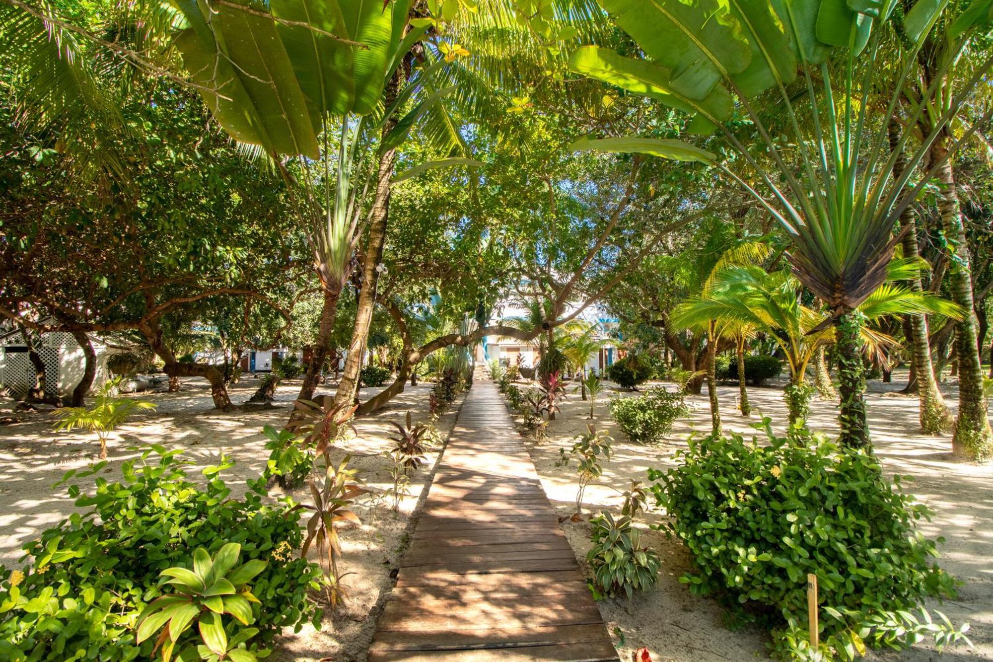 Beachside Villas Gold Standard Certified Placencia Room photo